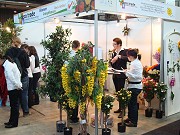 43. Internationale Übungsfirmenmesse in Freiburg